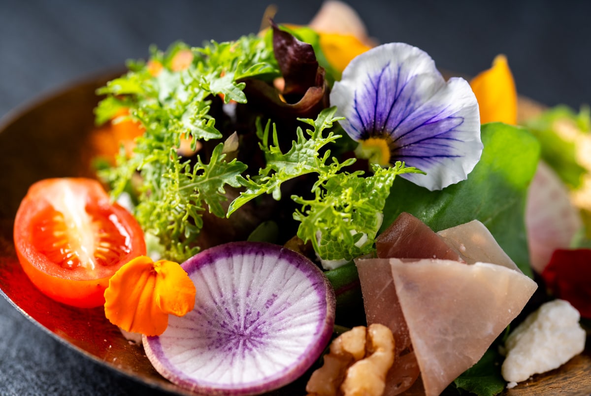 Photo & Video Shooting "Japanese Food"